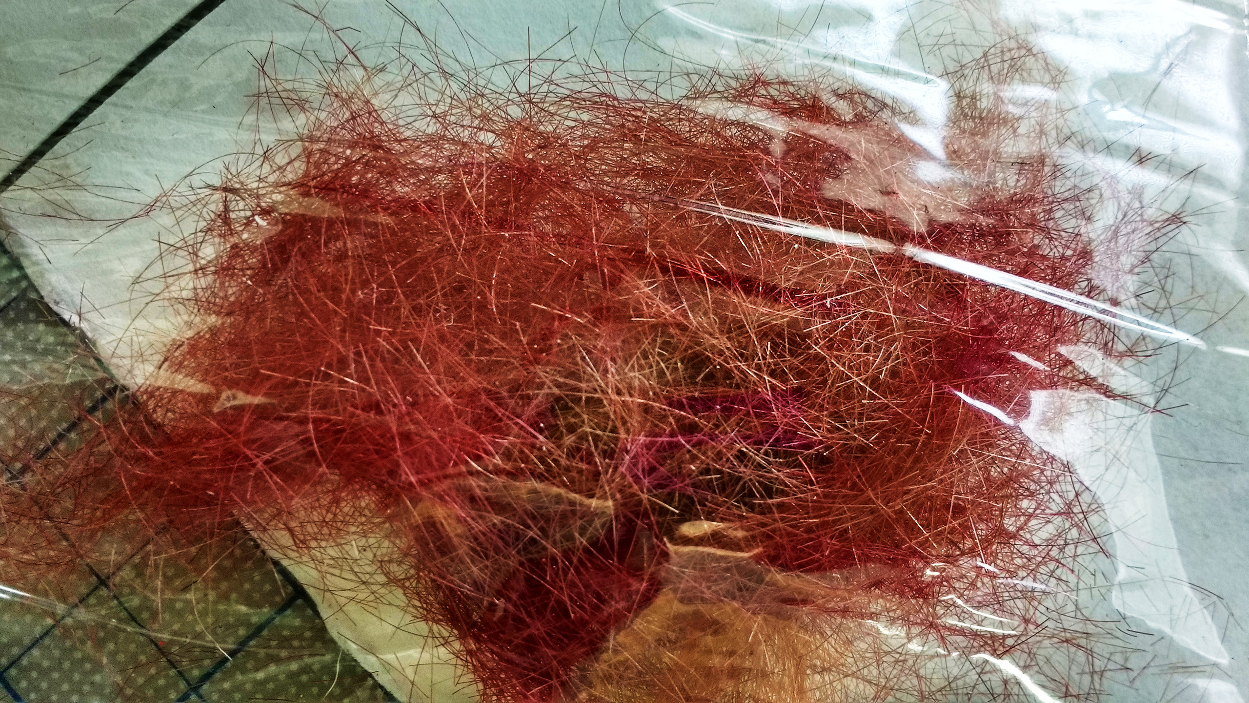 red and orange bits of hair in a sandwich bag